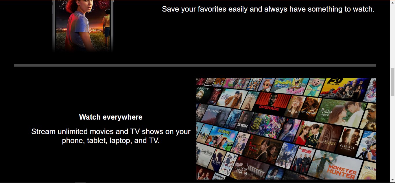 website-image