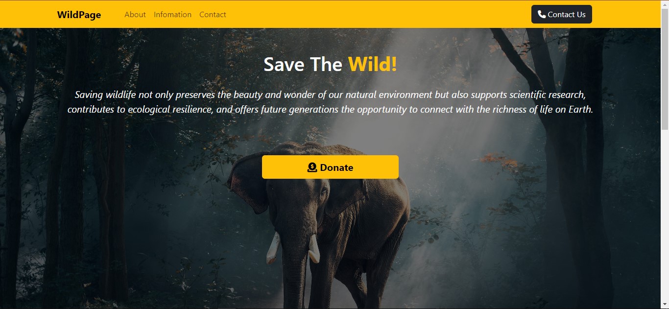 website-image
